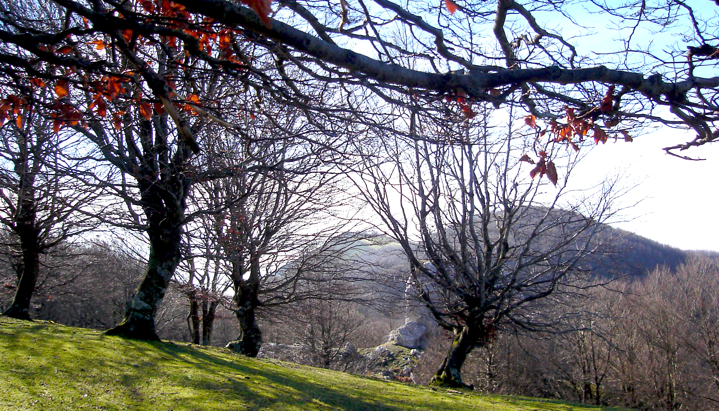 Aizkorri-Aratz Natural Park